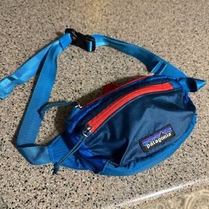 Patagonia lightweight hip travel Fanny pack